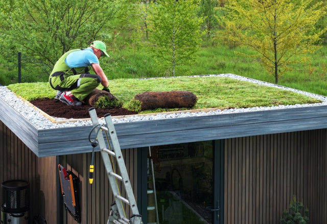 Groene dakbedekking? Dit zijn de opties